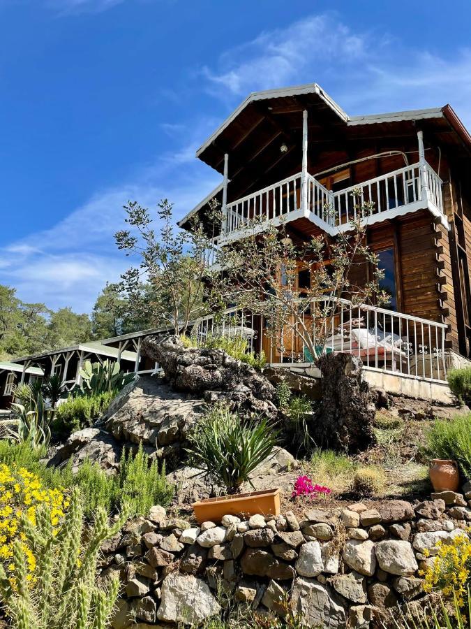 Hotel Angels Garden Kumluca Exteriér fotografie