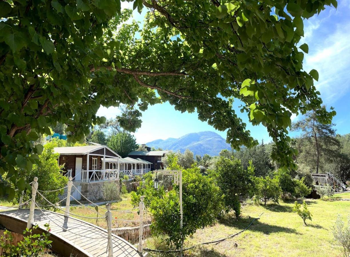 Hotel Angels Garden Kumluca Exteriér fotografie
